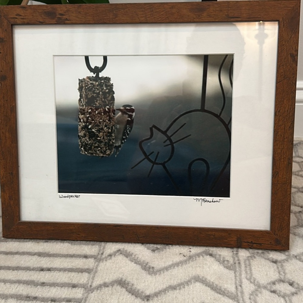 Framed Woodpecker Photograph with Wooden Frame